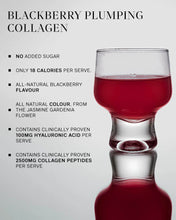 Load image into Gallery viewer, IMBIBE - Black berry plumping collagen 120g